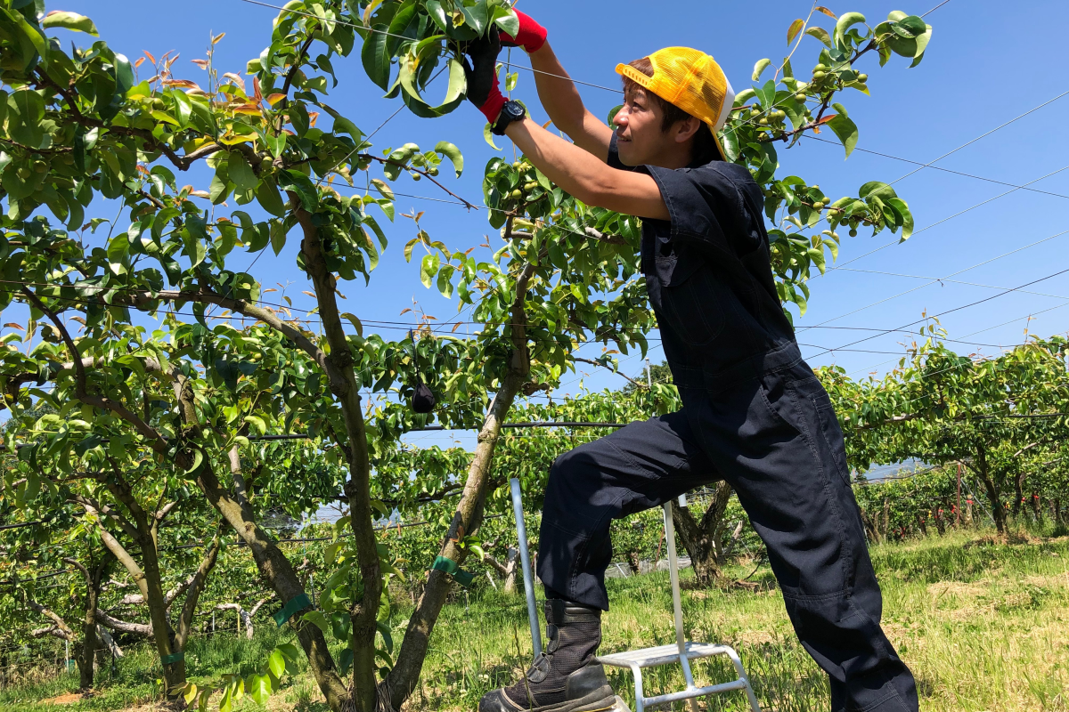 3番目のメイン画像