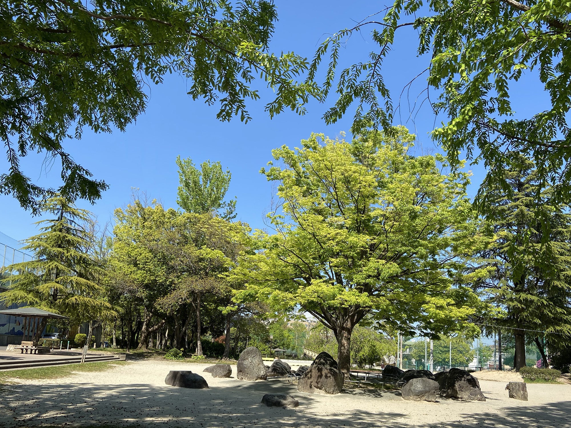 3番目のメイン画像