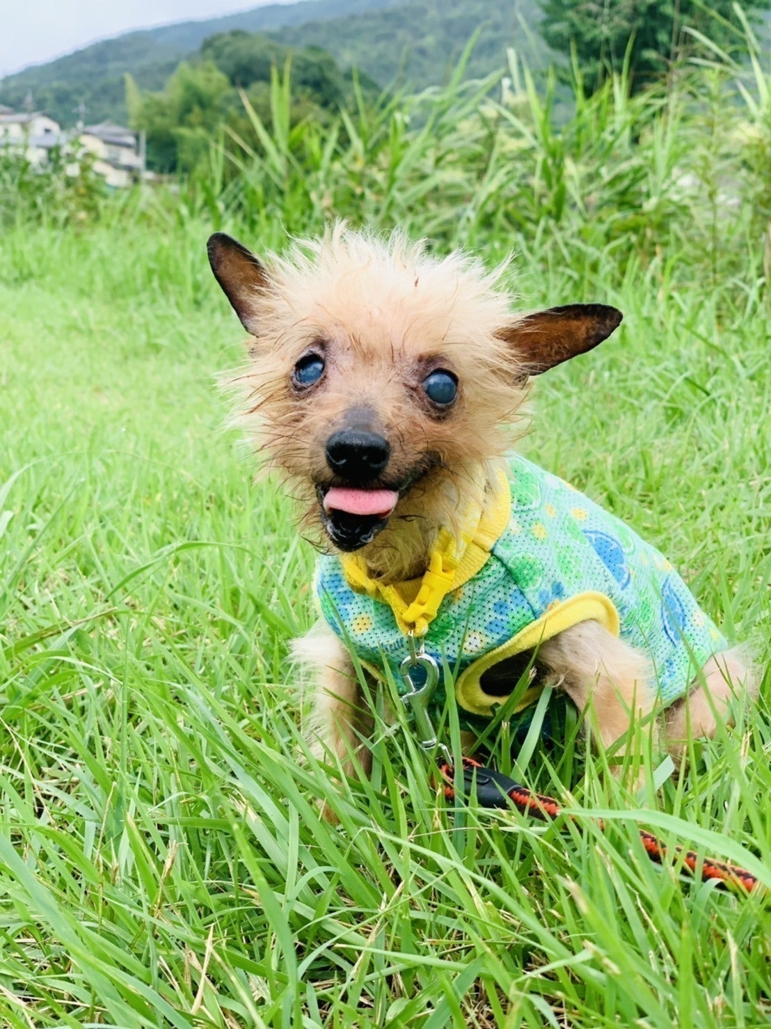 4番目のメイン画像