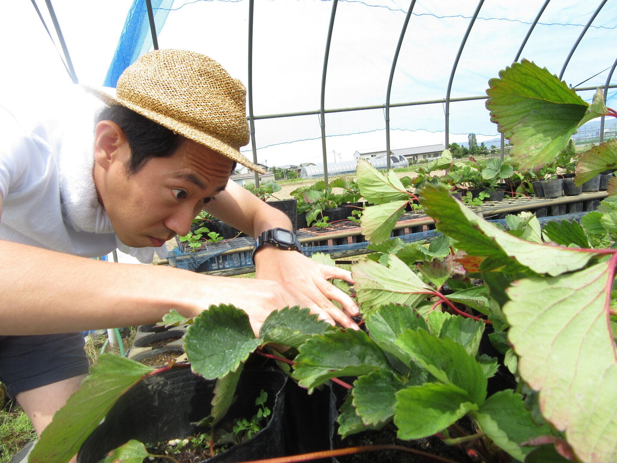 3番目のメイン画像