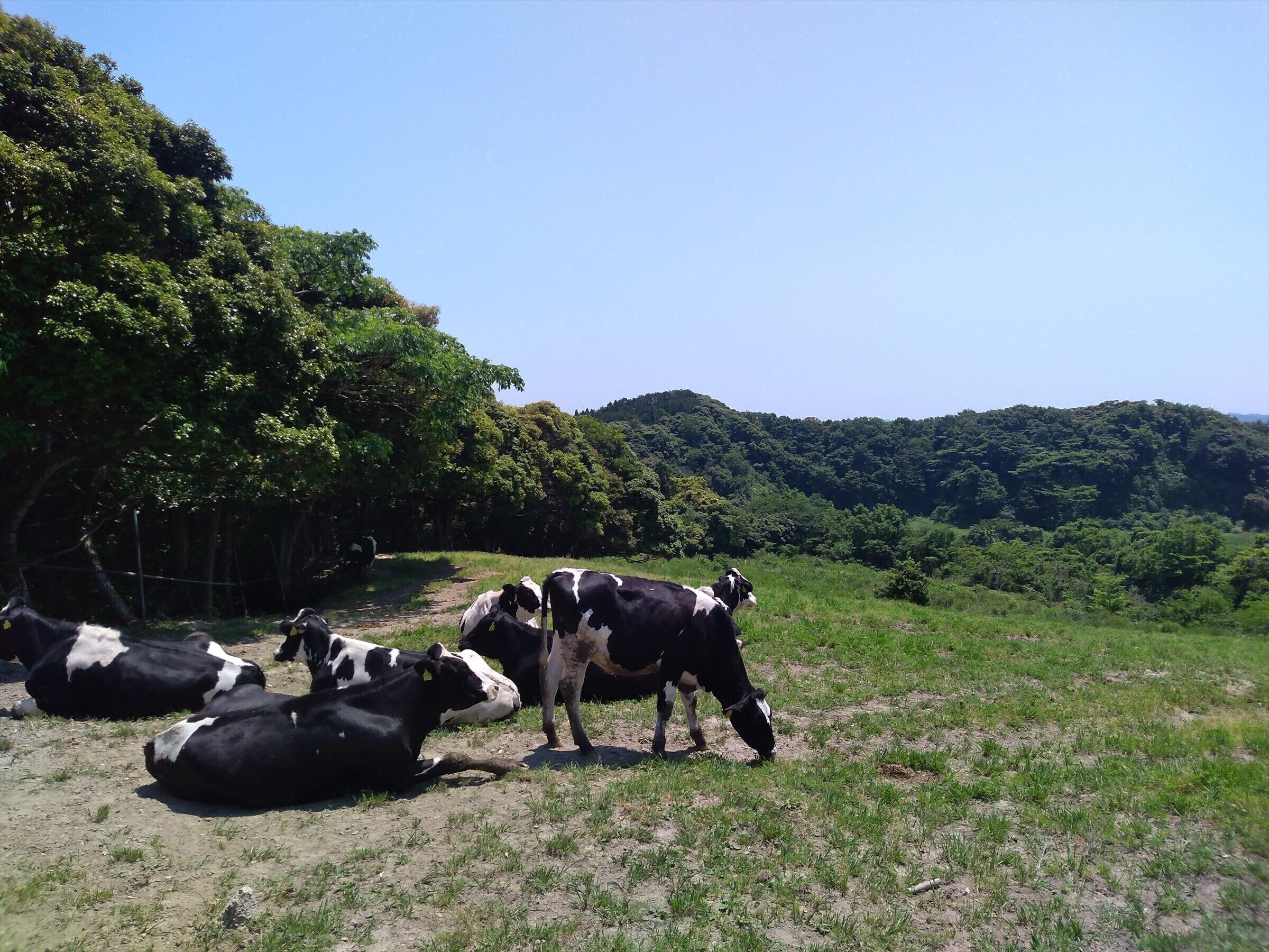 4番目のメイン画像