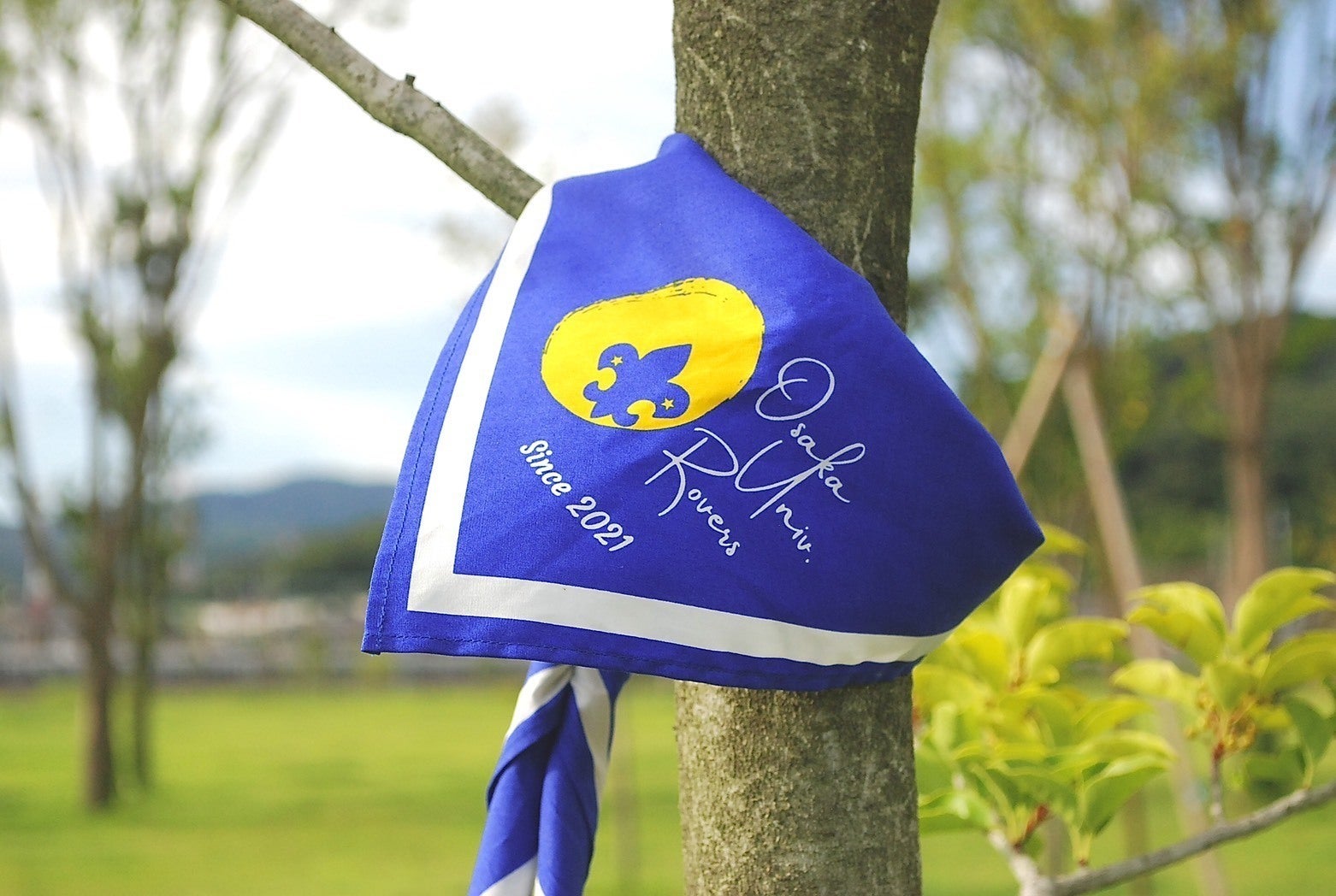 2番目のメイン画像