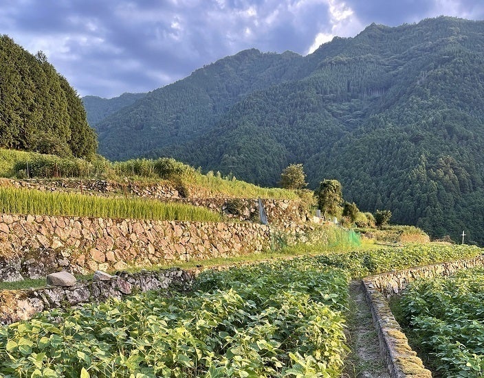 5番目のメイン画像