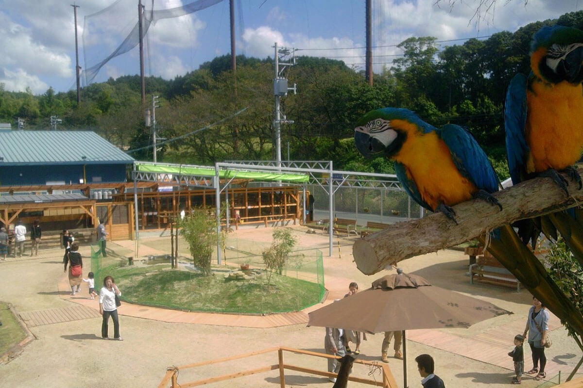 2番目のメイン画像