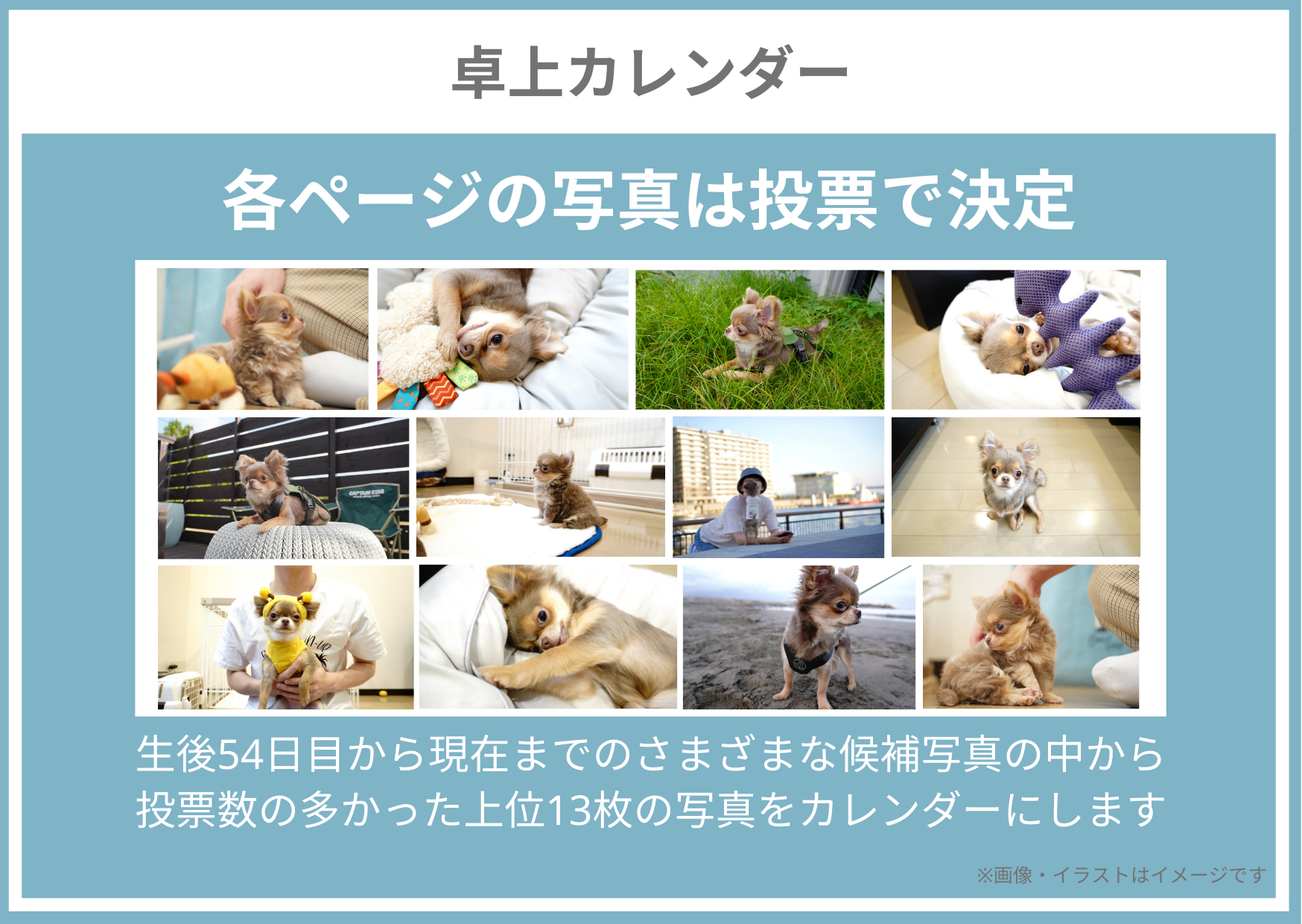 5番目のメイン画像