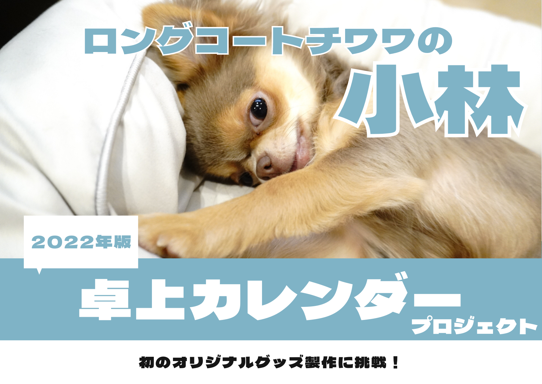 2番目のメイン画像