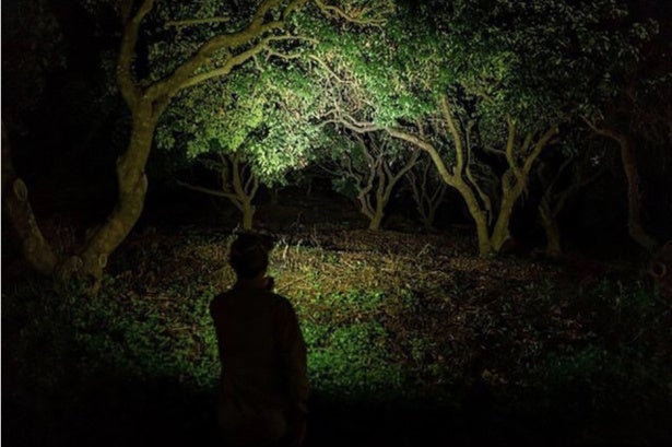 3番目のメイン画像