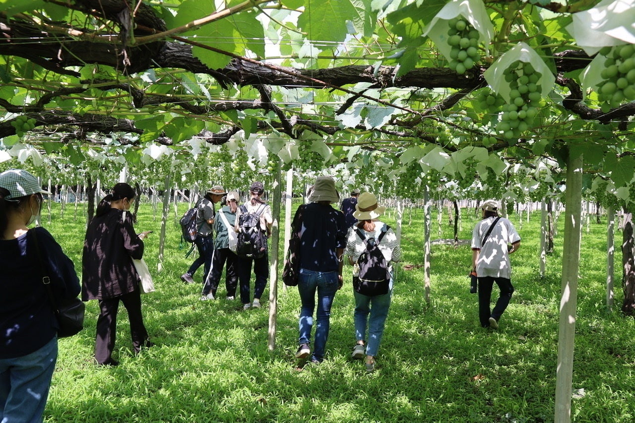 4番目のメイン画像