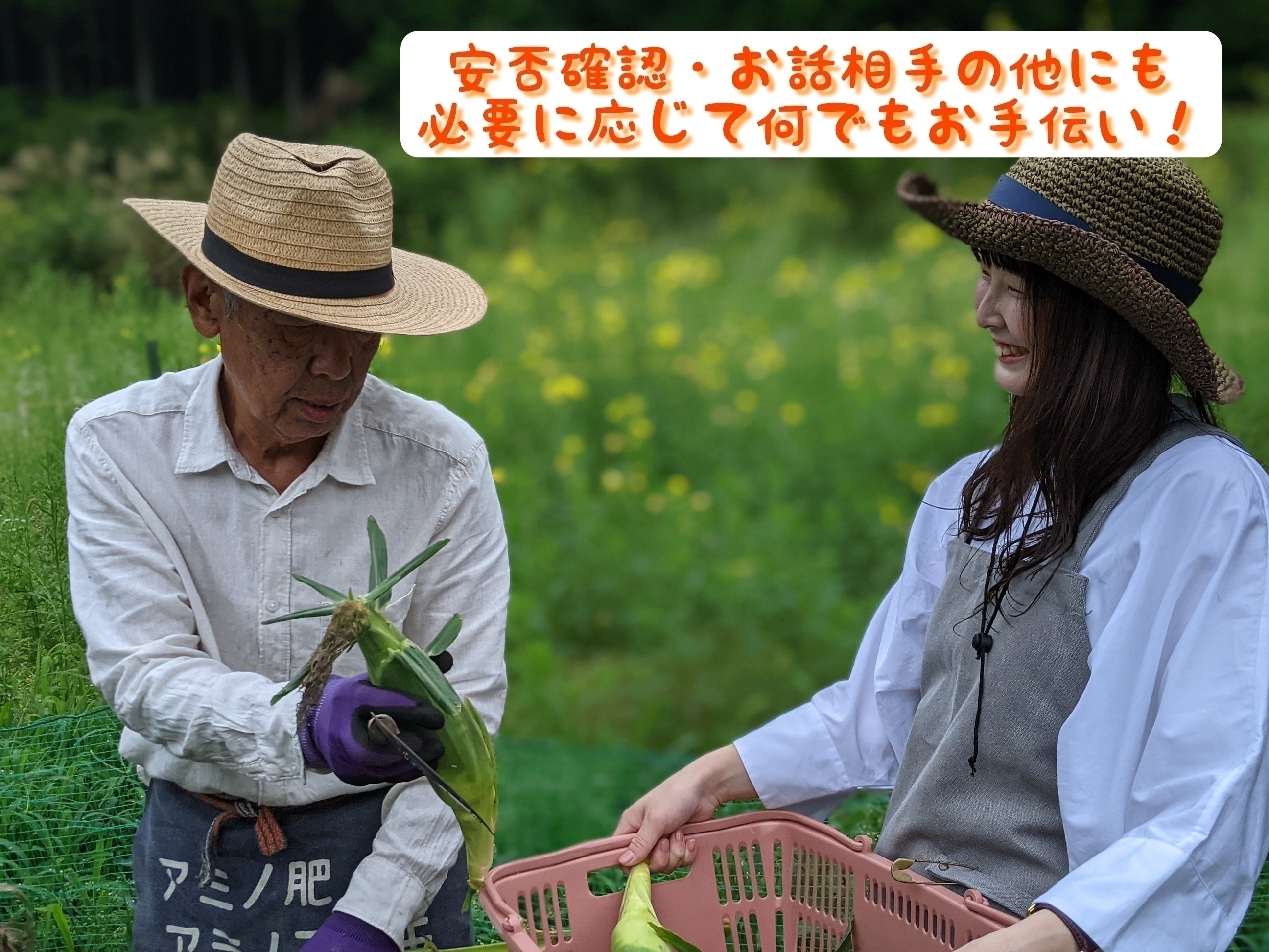 3番目のメイン画像