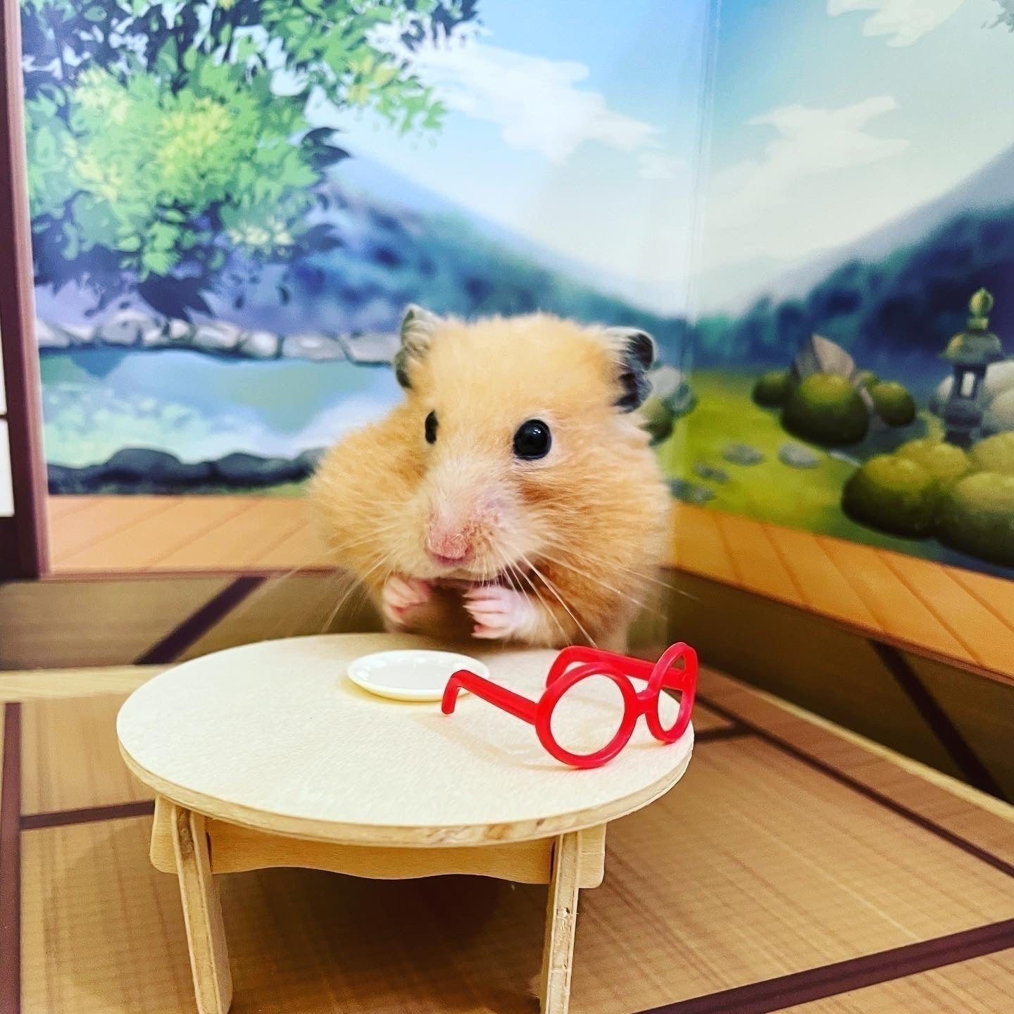 4番目のメイン画像