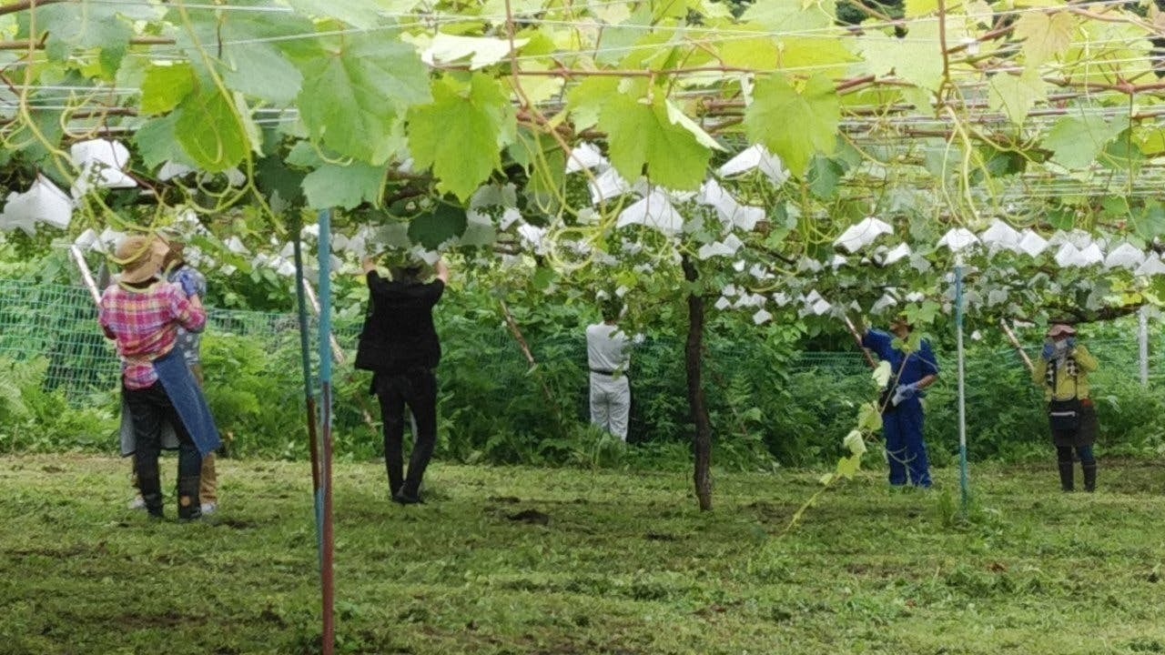 4番目のメイン画像