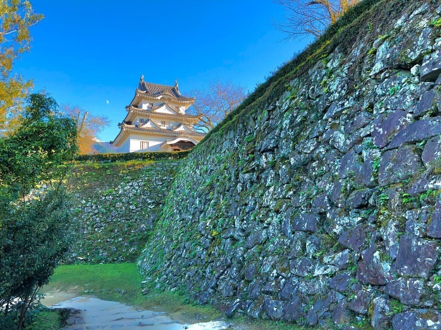 3番目のメイン画像