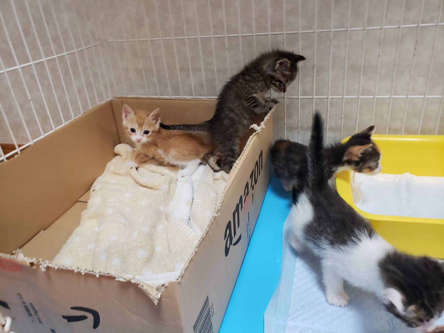 3番目のメイン画像