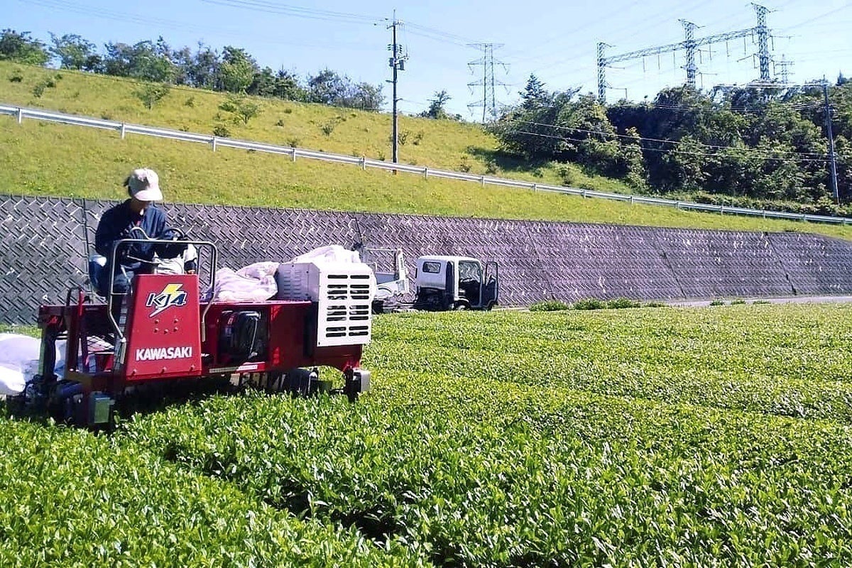 2番目のメイン画像