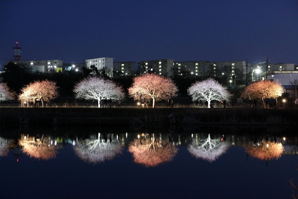 3番目のメイン画像