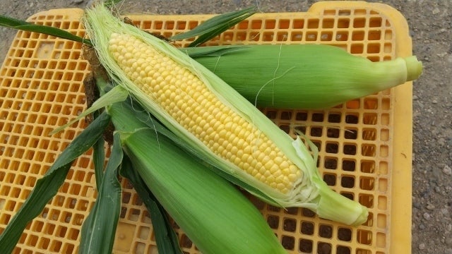 5番目のメイン画像