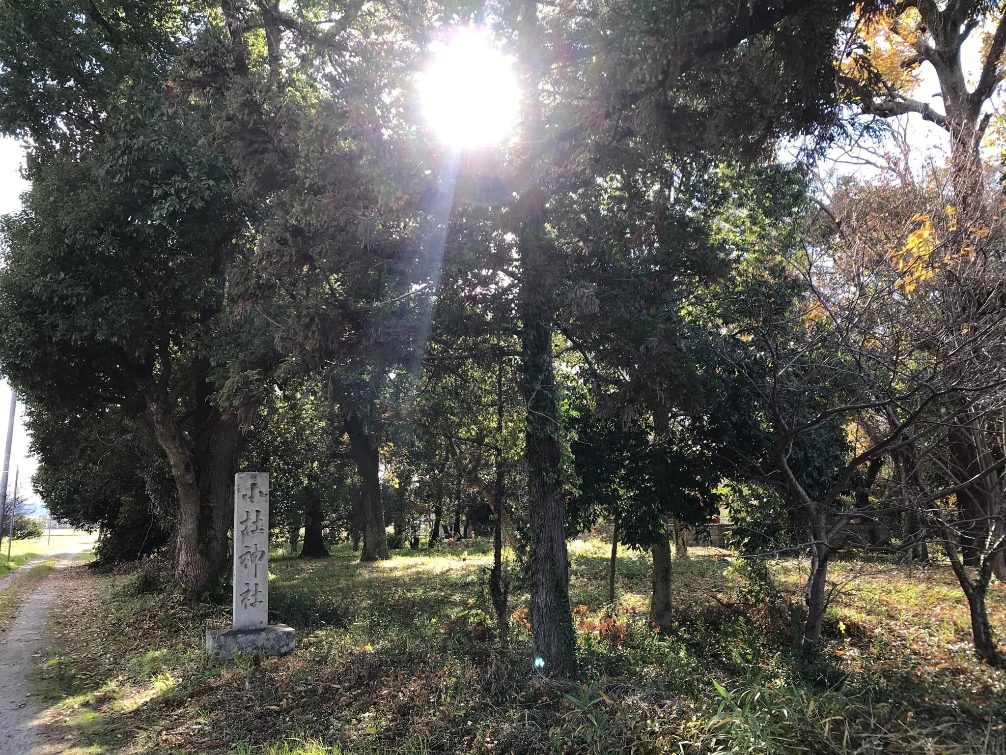 3番目のメイン画像