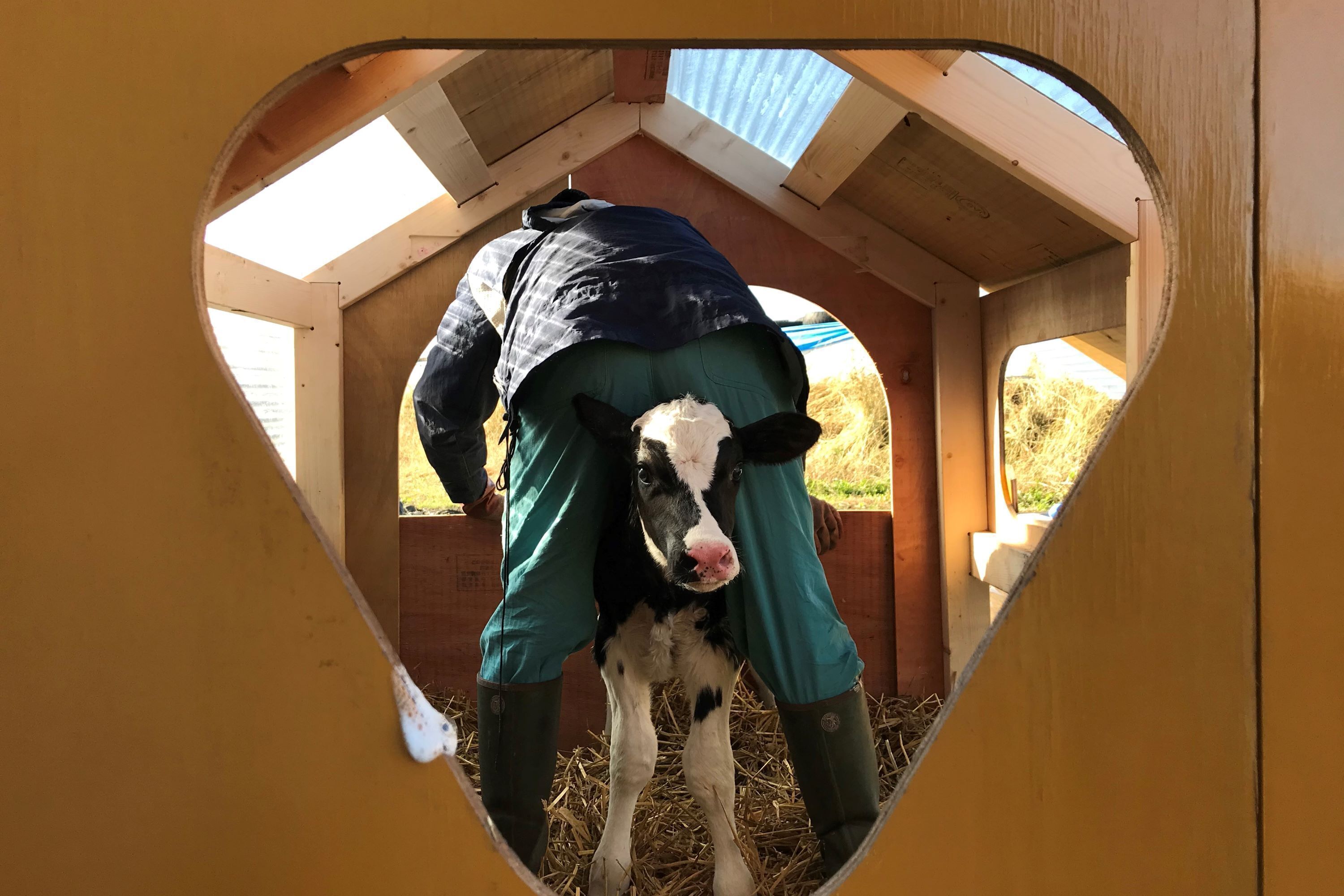 2番目のメイン画像