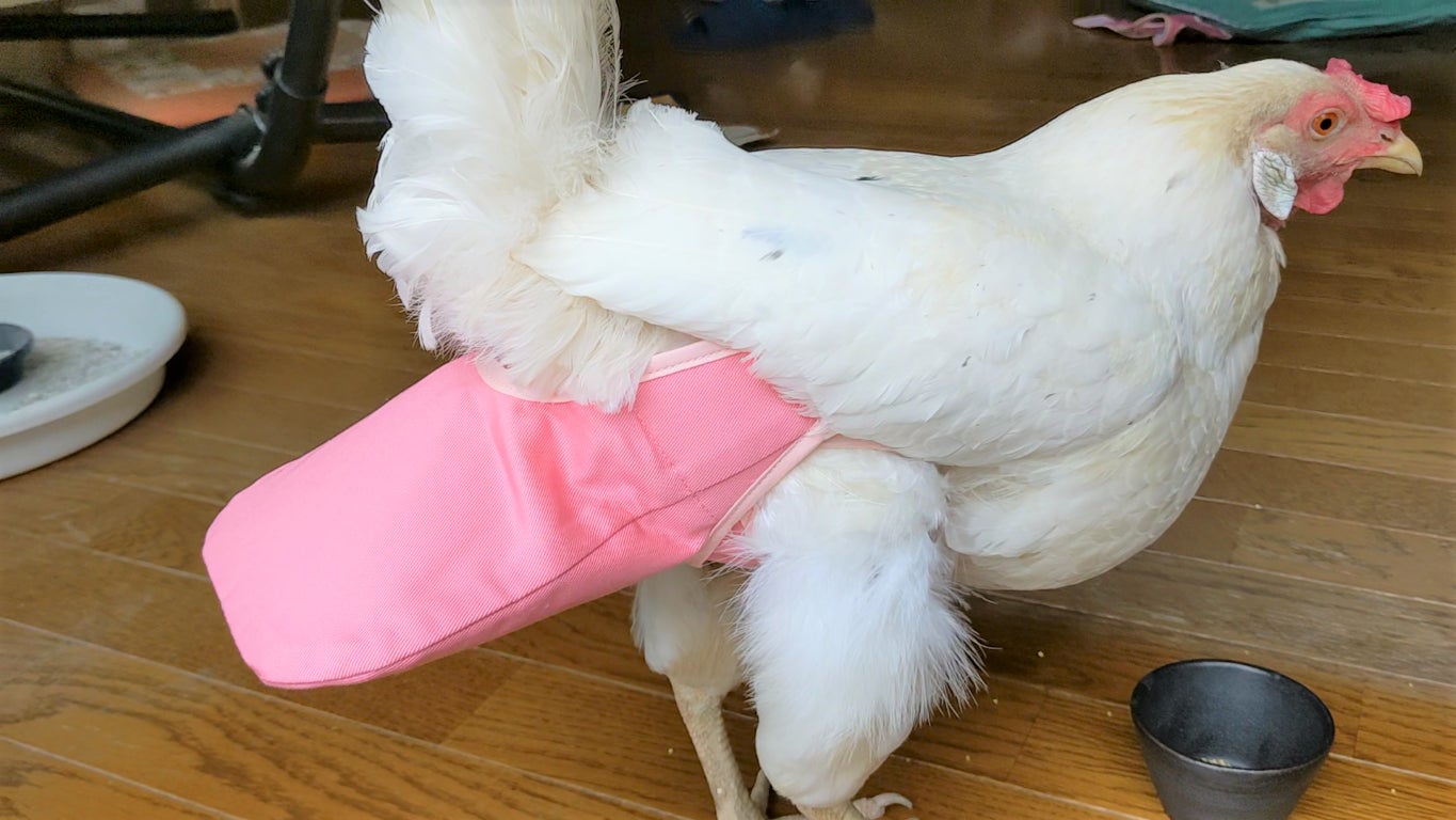 4番目のメイン画像