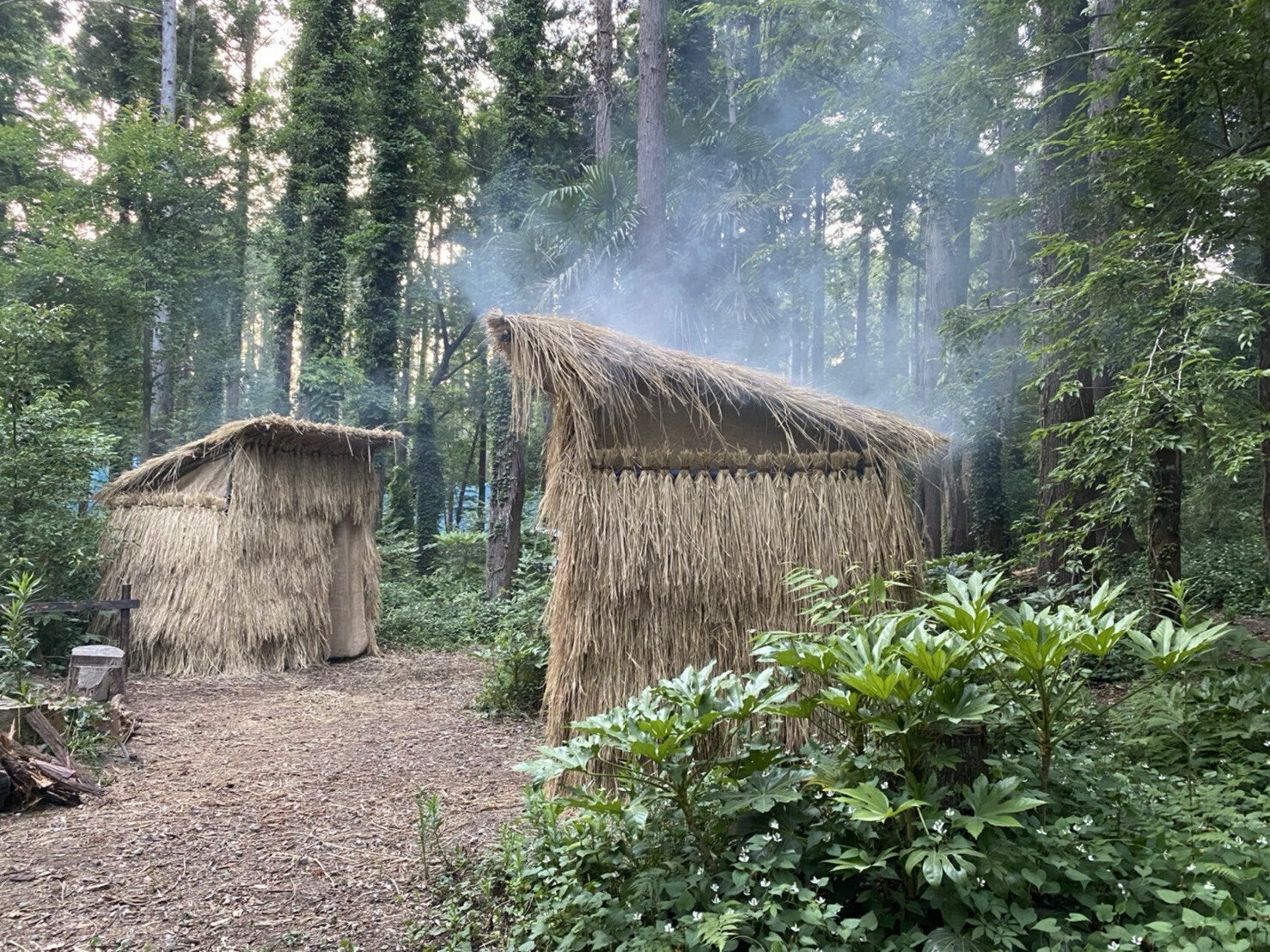 4番目のメイン画像