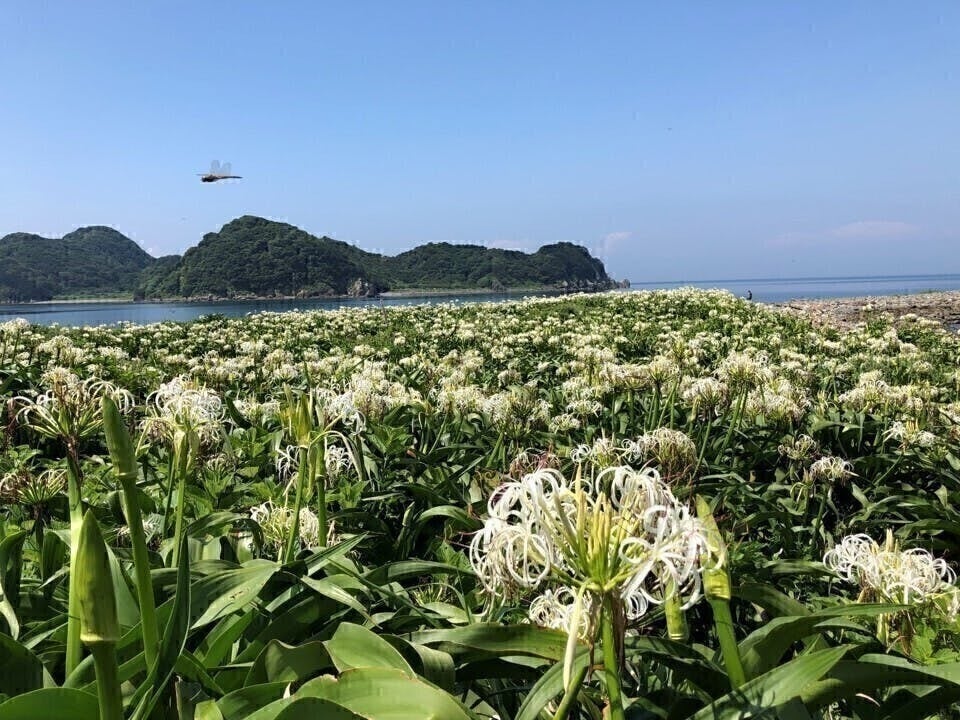 3番目のメイン画像