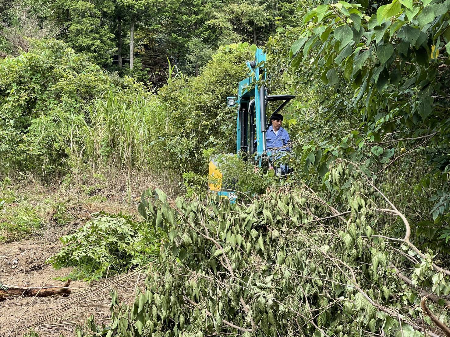 2番目のメイン画像