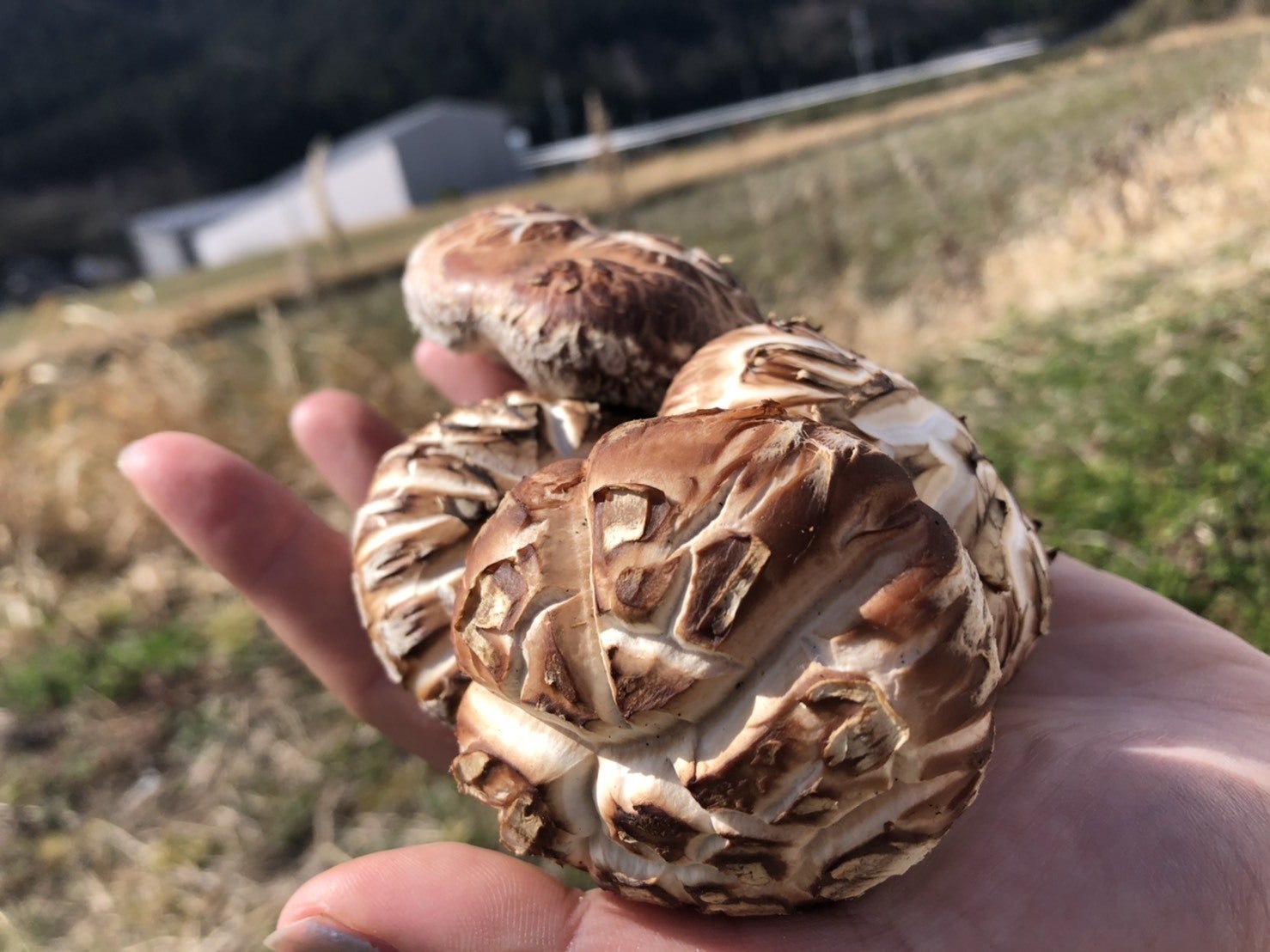 4番目のメイン画像