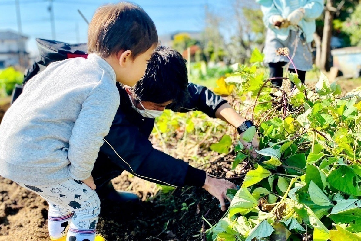 3番目のメイン画像