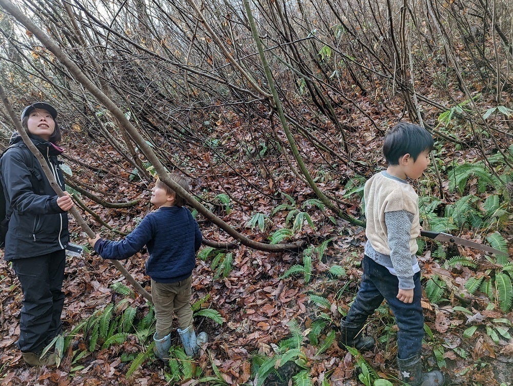 2番目のメイン画像