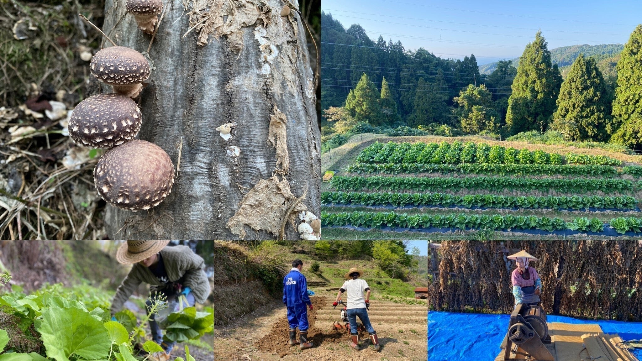 5番目のメイン画像