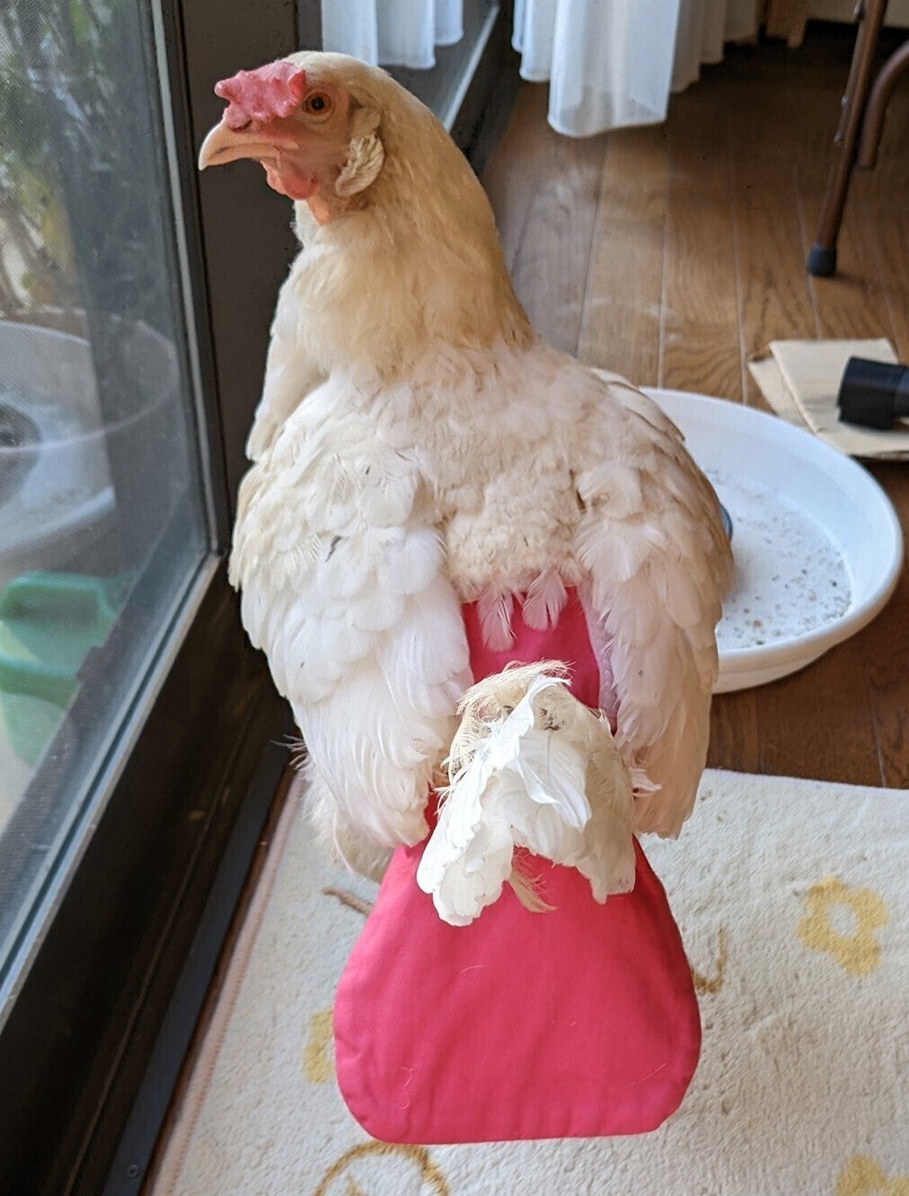 5番目のメイン画像