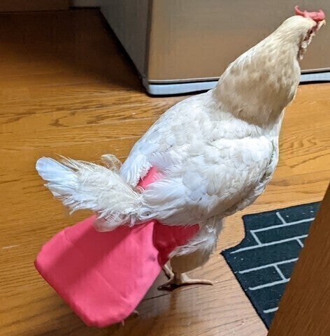 2番目のメイン画像