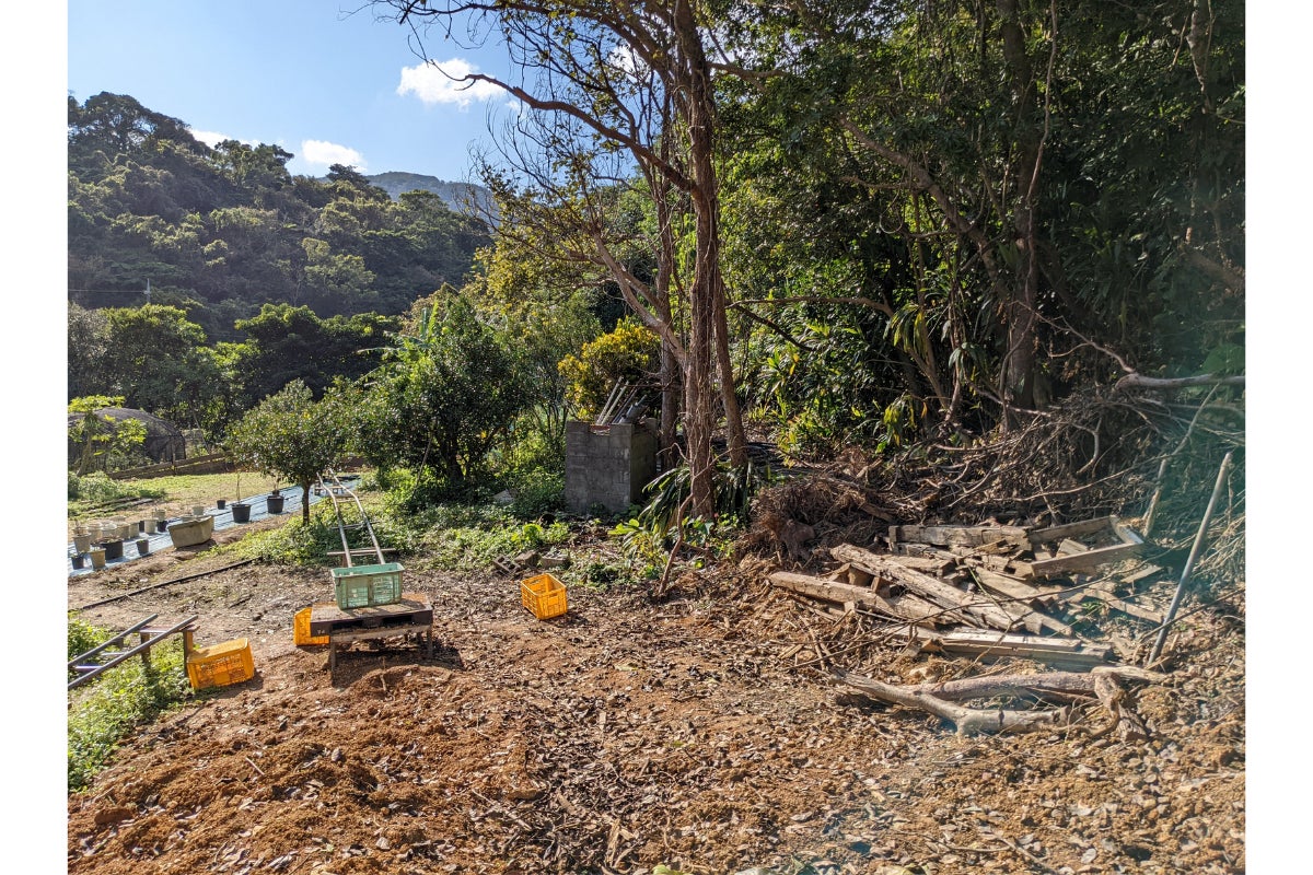 3番目のメイン画像