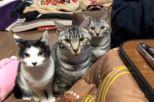 1番目のメイン画像