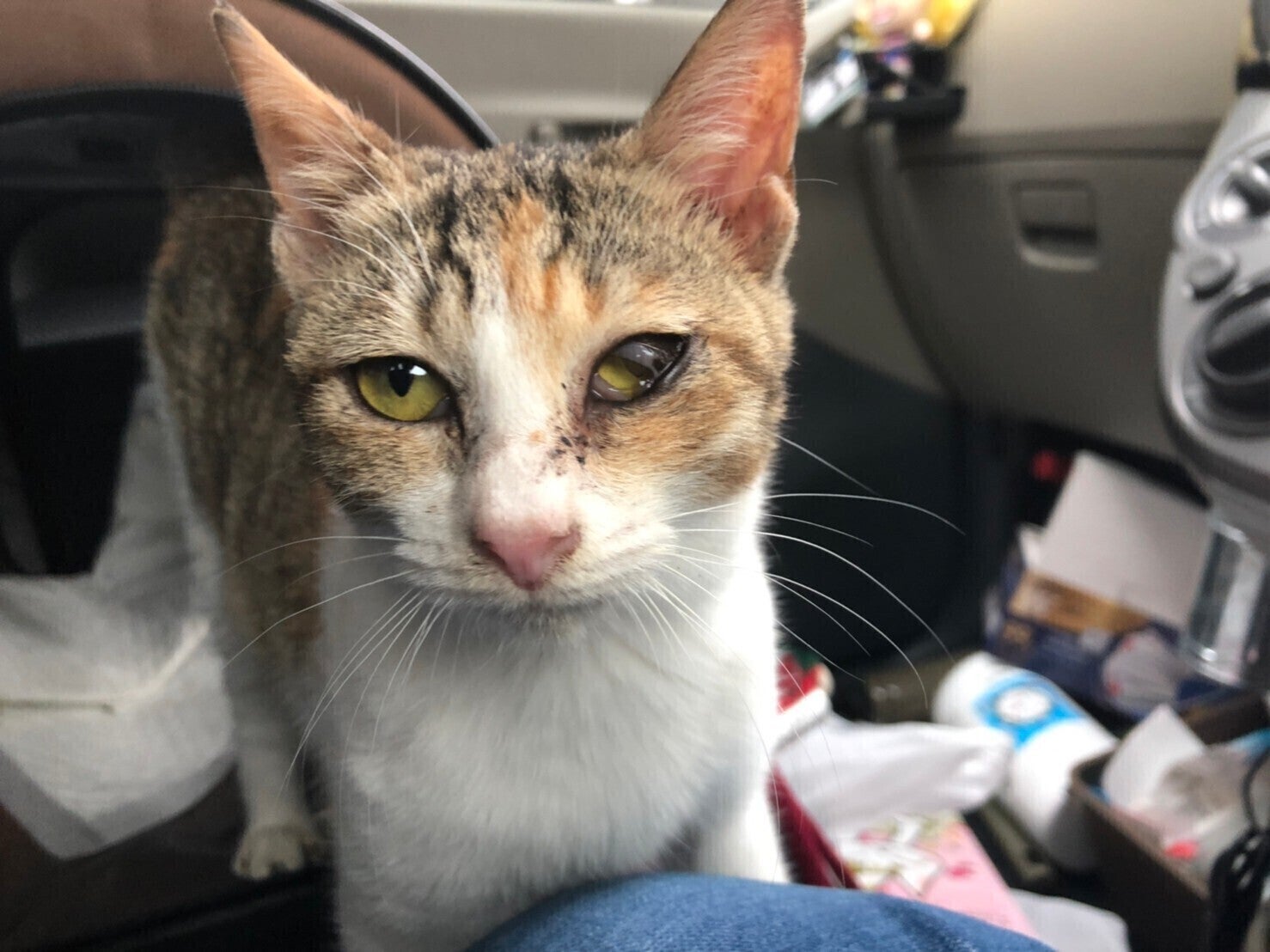 4番目のメイン画像