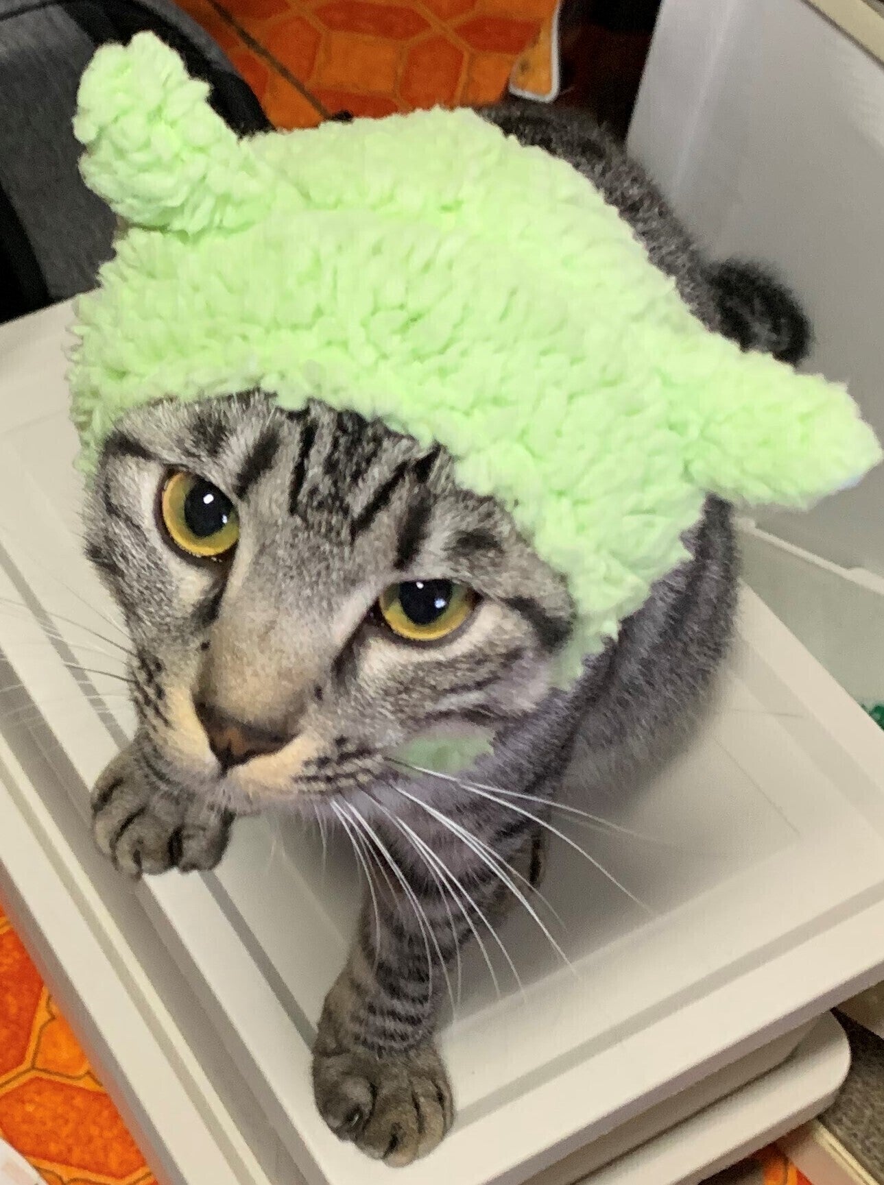 3番目のメイン画像