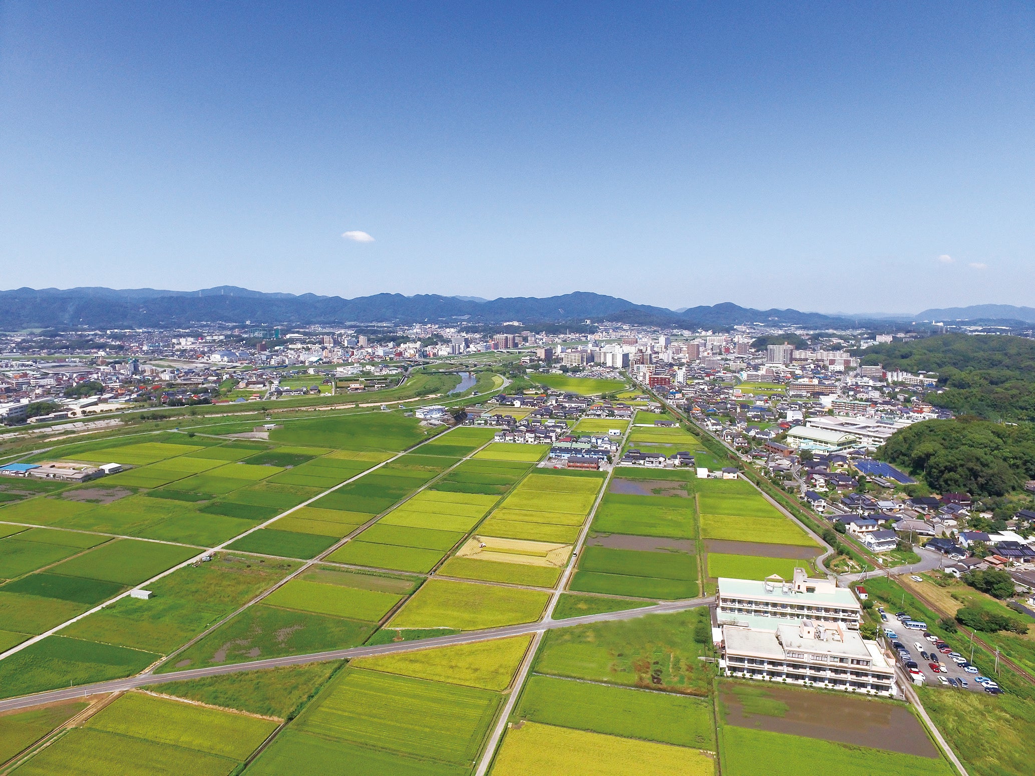 3番目のメイン画像