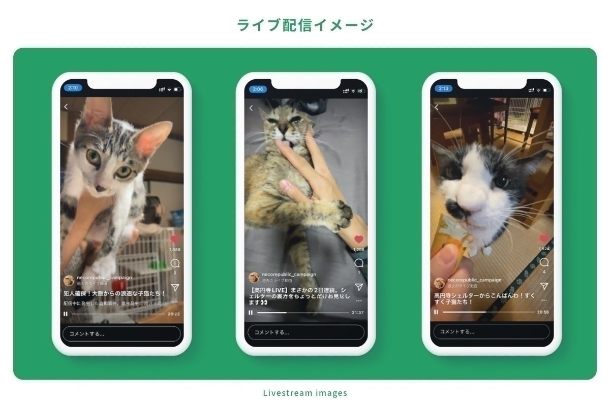 2番目のメイン画像