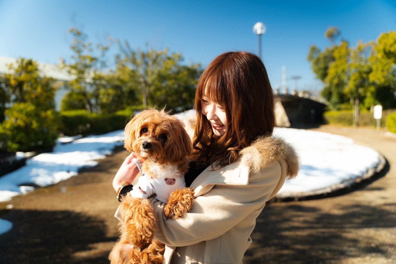 4番目のメイン画像