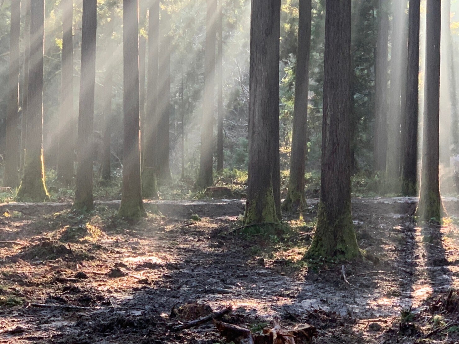 4番目のメイン画像