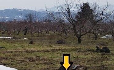 3番目のメイン画像