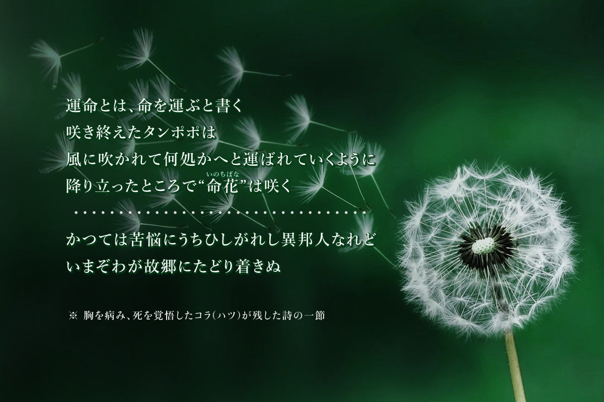 5番目のメイン画像