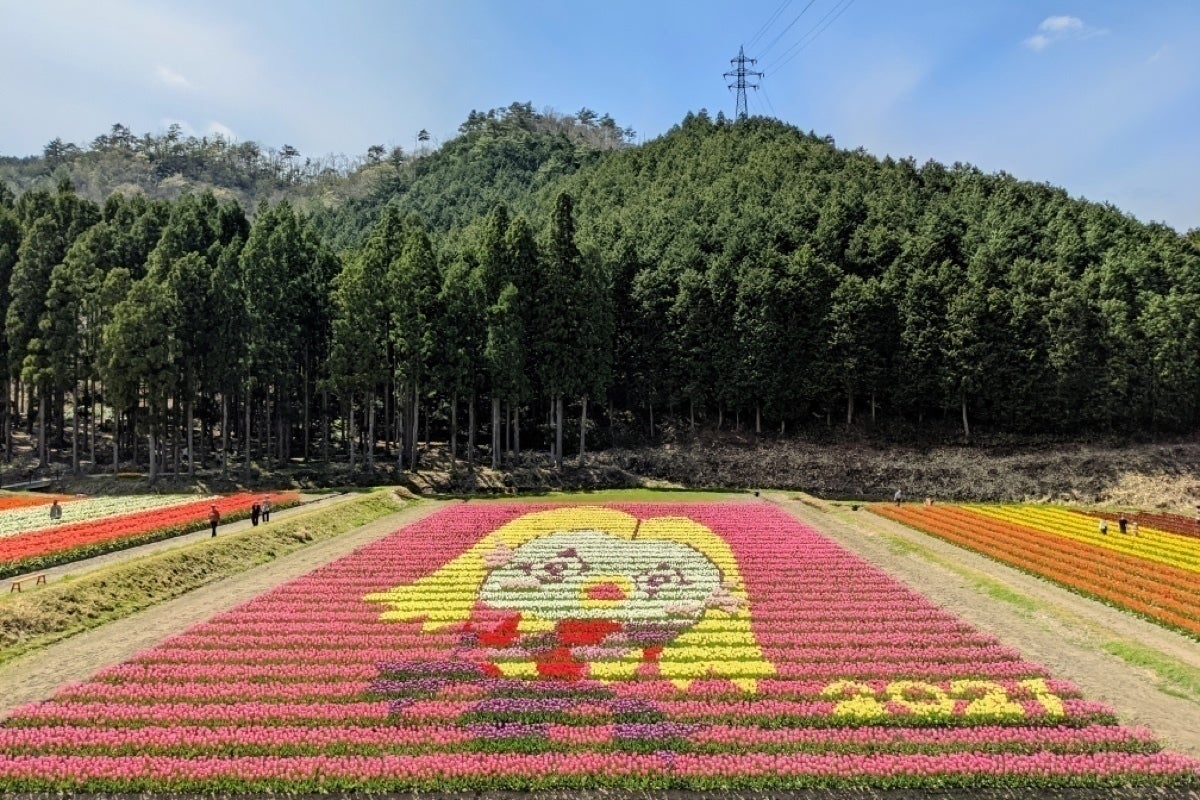 4番目のメイン画像