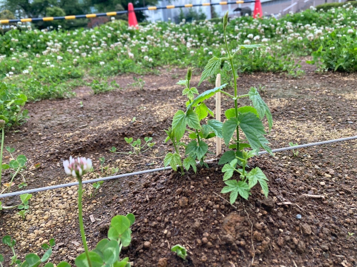 5番目のメイン画像