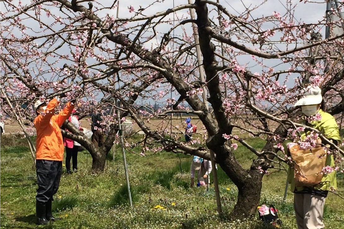 4番目のメイン画像