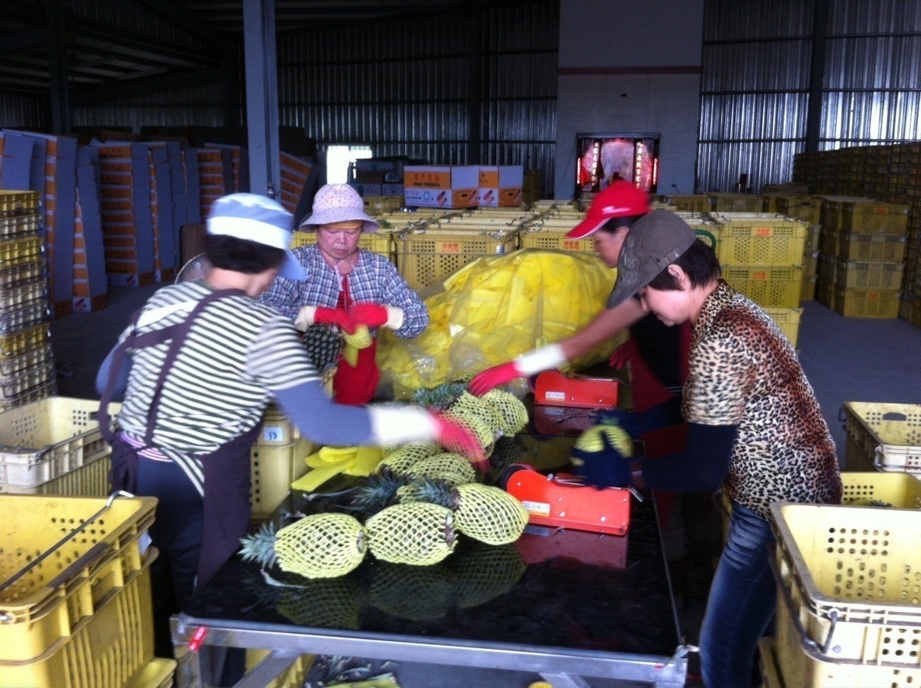 5番目のメイン画像