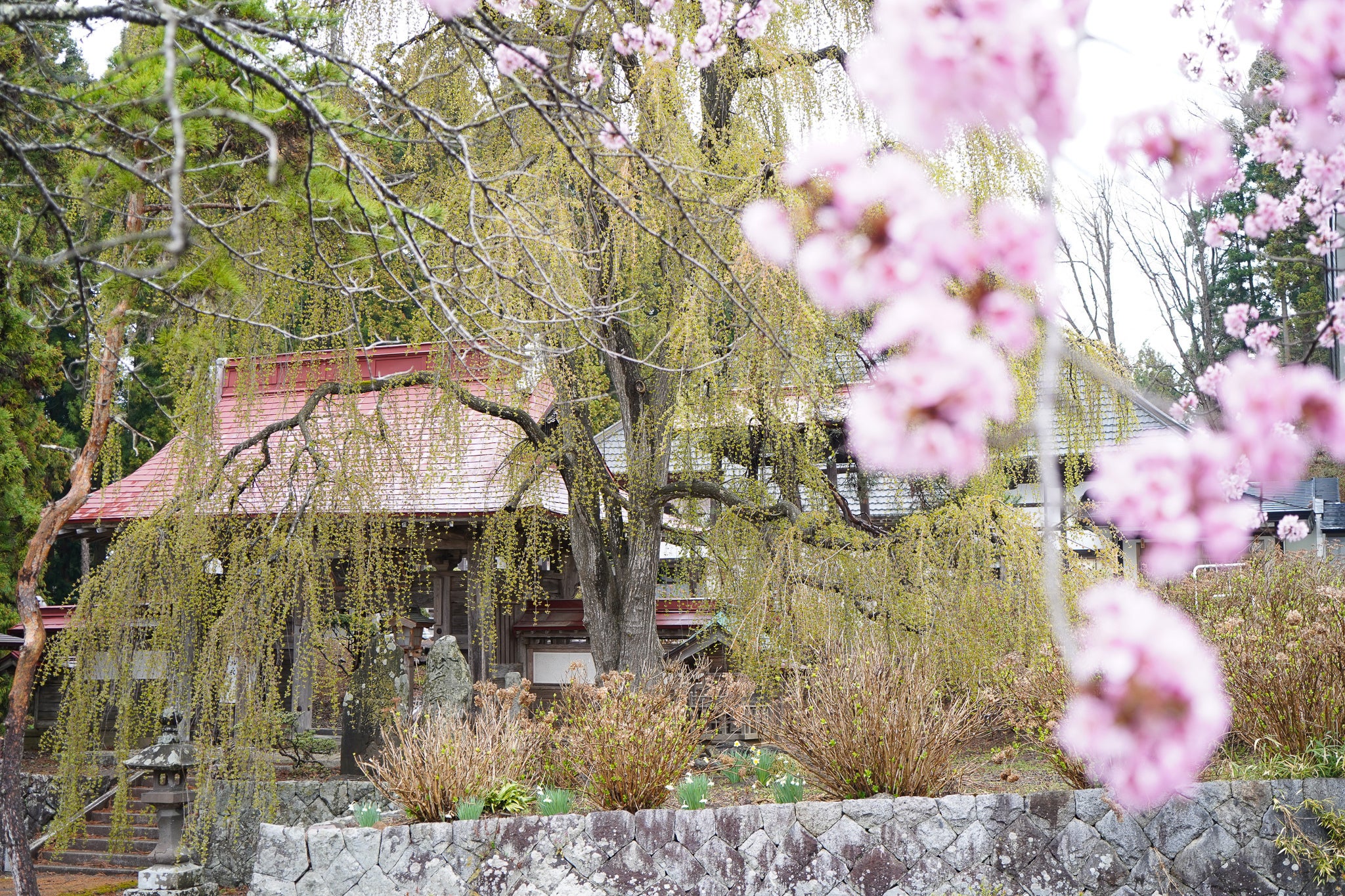 3番目のメイン画像