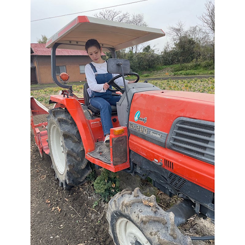 2番目のメイン画像