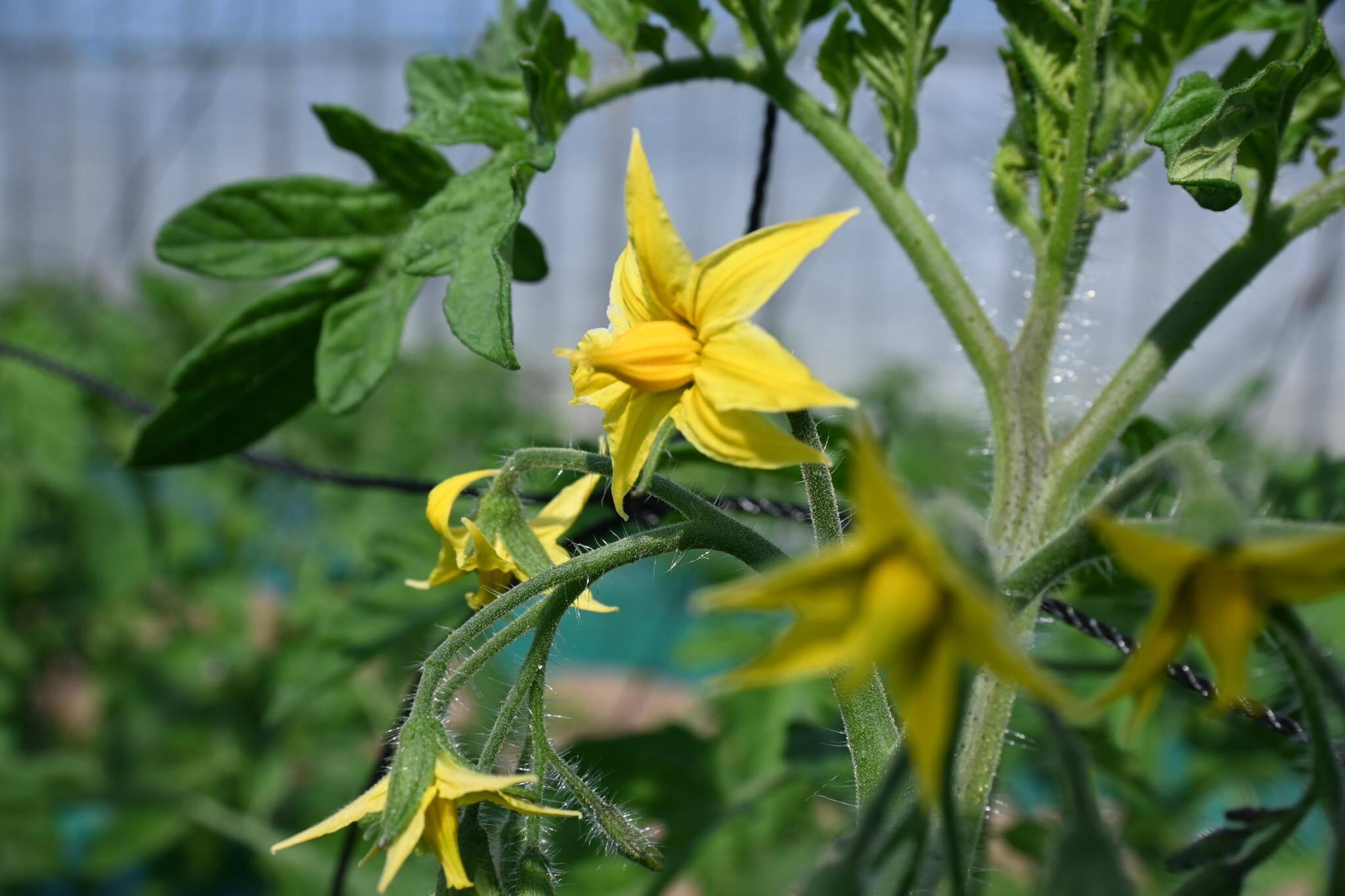 3番目のメイン画像