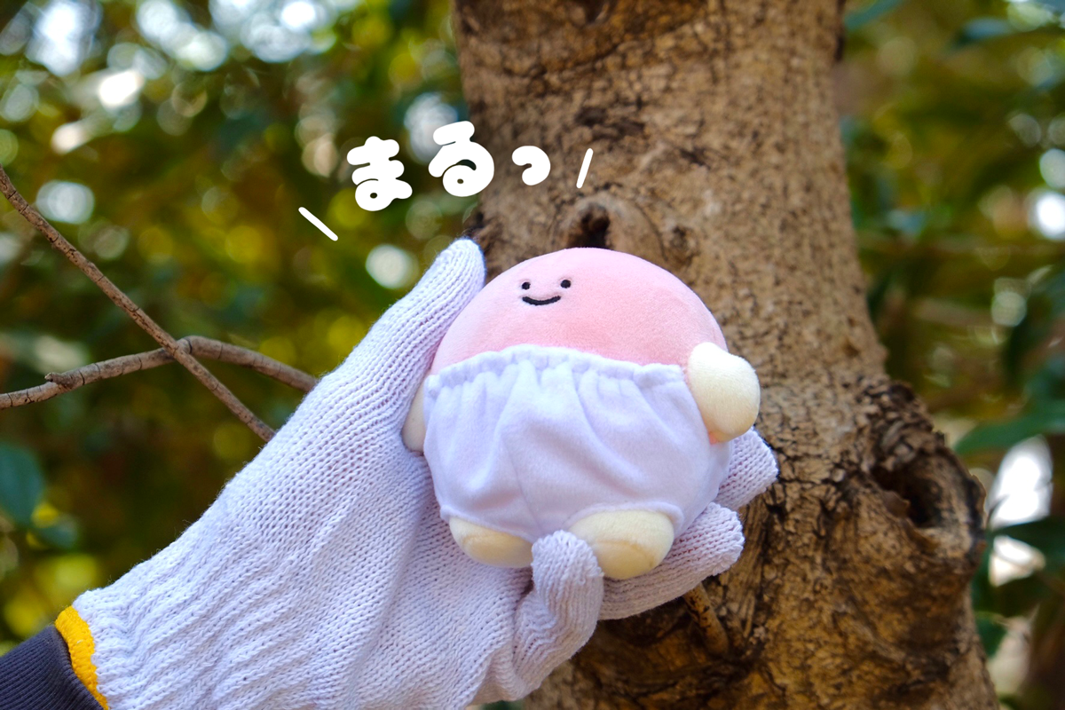 4番目のメイン画像